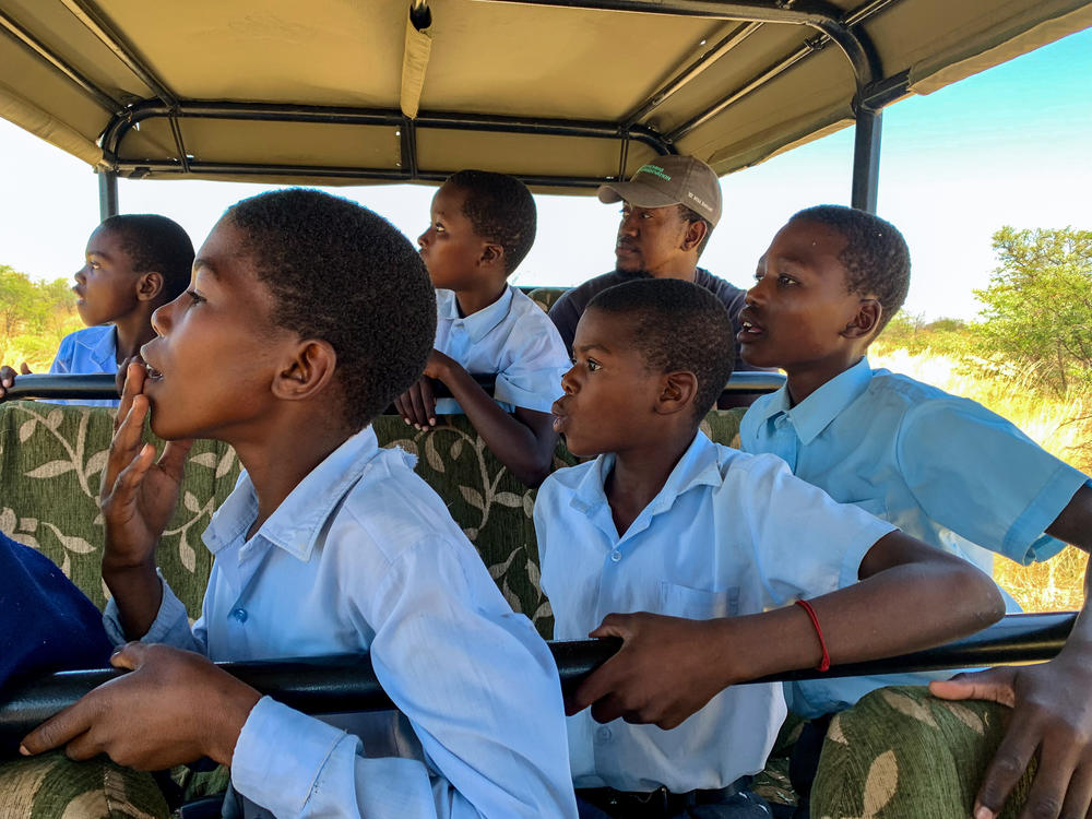Kaurihongua (left) says he feels sorry for elephants now. And Fortune (right) says he'd never seen an elephant as calm as the one they watched on their safari. 