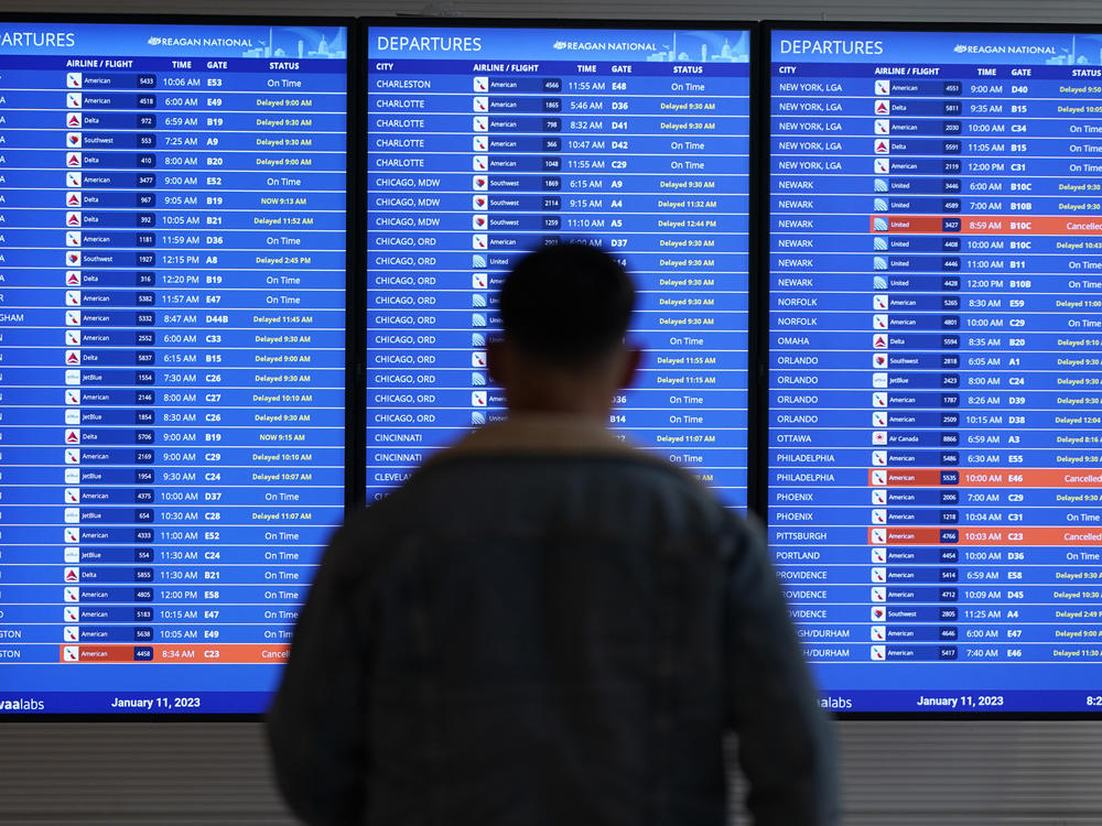 A traveler looks at a flight board with delays and cancellations at Ronald Reagan Washington National Airport in Arlington, Va., on Jan. 11, 2023.