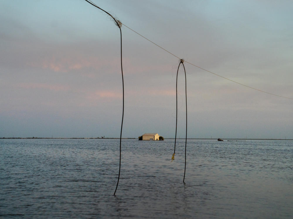 In California's Central Valley, a long-disappeared lake has been resurrected. A power line dangles precariously over the edge of the water now filling the Tulare Lake Basin, and a building on the horizon is caught in the middle of the flood.