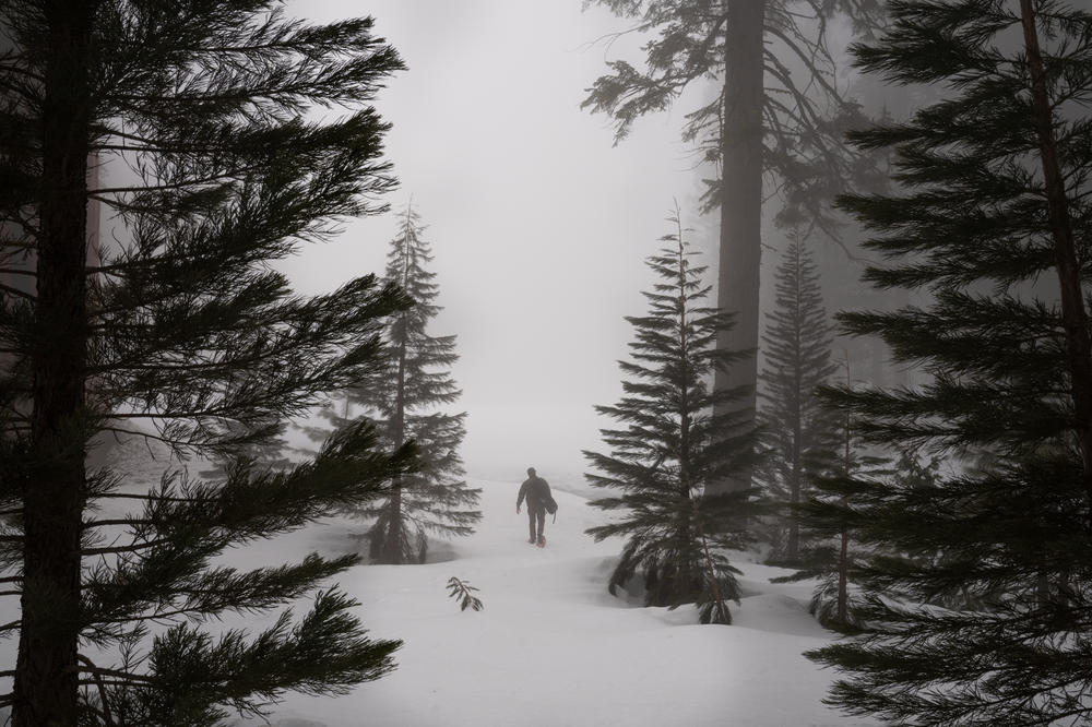 Eric Meyer, an ecologist at Kings Canyon and Sequoia National Parks, walks into a section of Sequoia National Park to check the depth of the snow.