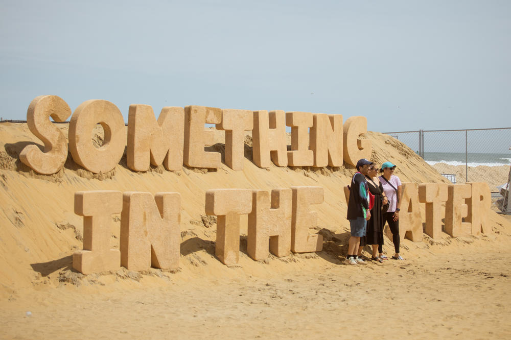 Festival goers pose for photo at Something In The Water festival.