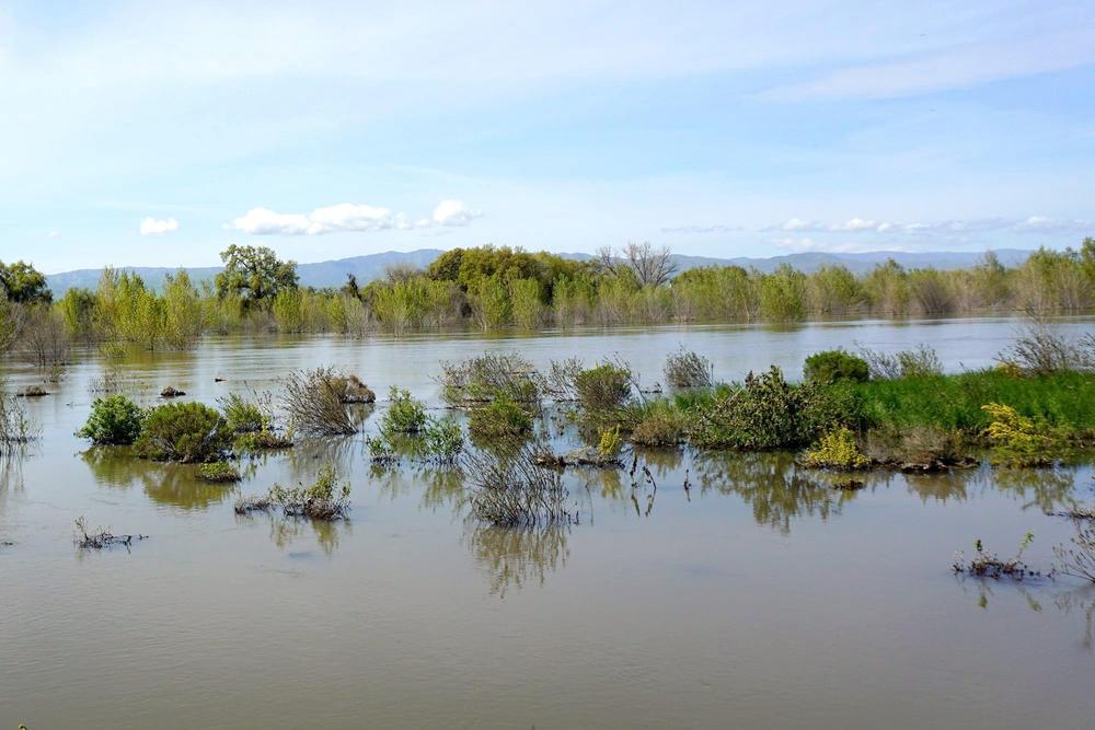 The San Joaquin River has spread far beyond its banks as the snowpack melts in California's Sierra Nevada.