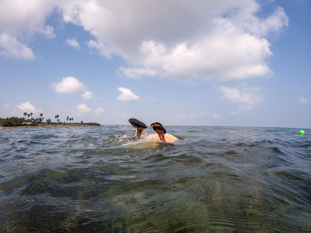Thangamma, about 80 years old, dives in to gather seaweed.