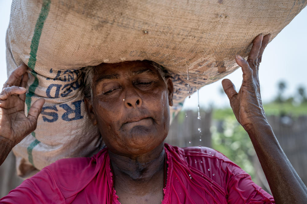 Thangamma carries her sack filled with seaweed. On a good day, a seaweed collector can earn about $6 from selling their goods to local factories.