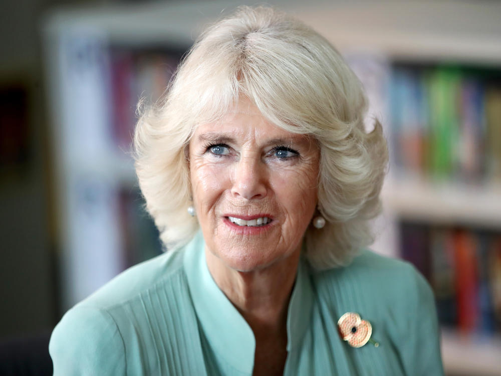 Camilla Parker Bowles' journey in the public eye has been remarkable.