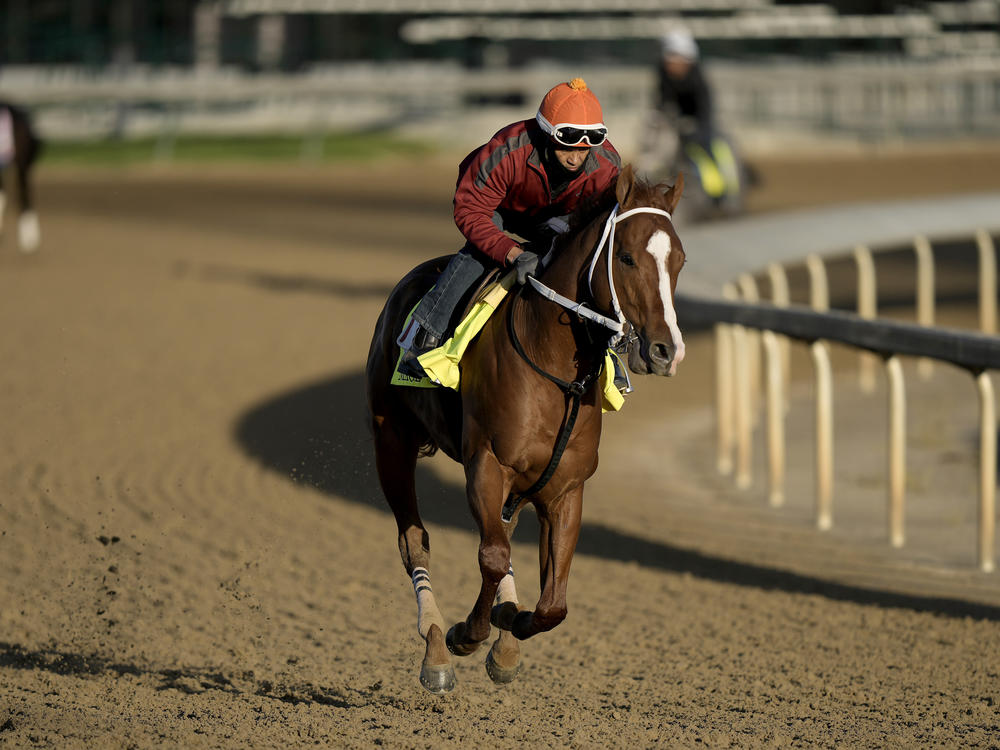A trainer is suspended from the Kentucky Derby after 2 of his horses