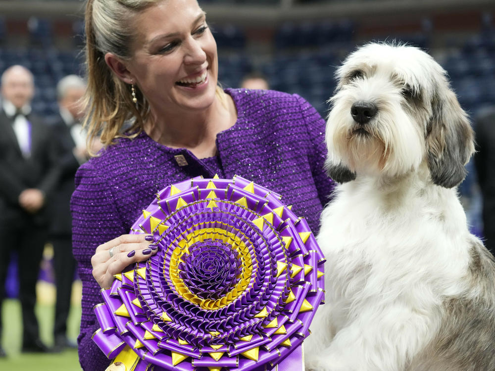 Handler Janice Hays poses for photos with Buddy Holly, a petit basset griffon Vendéen, after he won best in show during the 147th Westminster Kennel Club Dog show Tuesday, May 9, 2023, at the USTA Billie Jean King National Tennis Center in New York.
