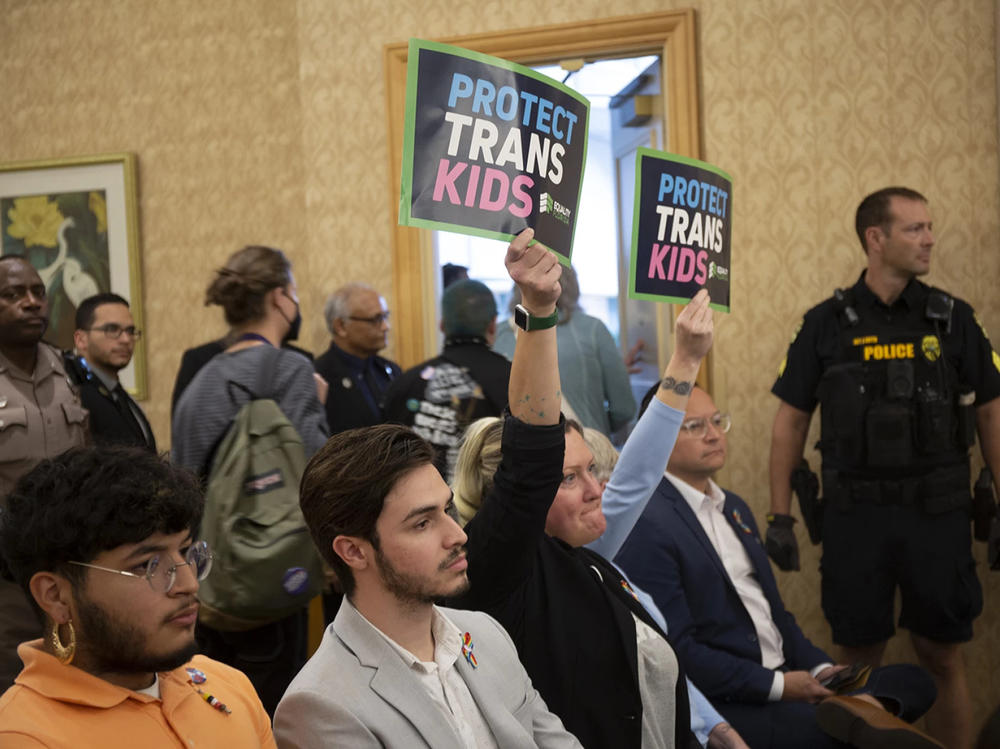 Protestors attended a Florida Board of Medicine meeting on Oct. 28, 2022, where the board proposed bans on gender-affirming medical care for minors. On Feb. 10, the Florida Board of Medicine and the Florida Board of Osteopathic Medicine voted to impose the bans, which went into effect March 16, 2023.