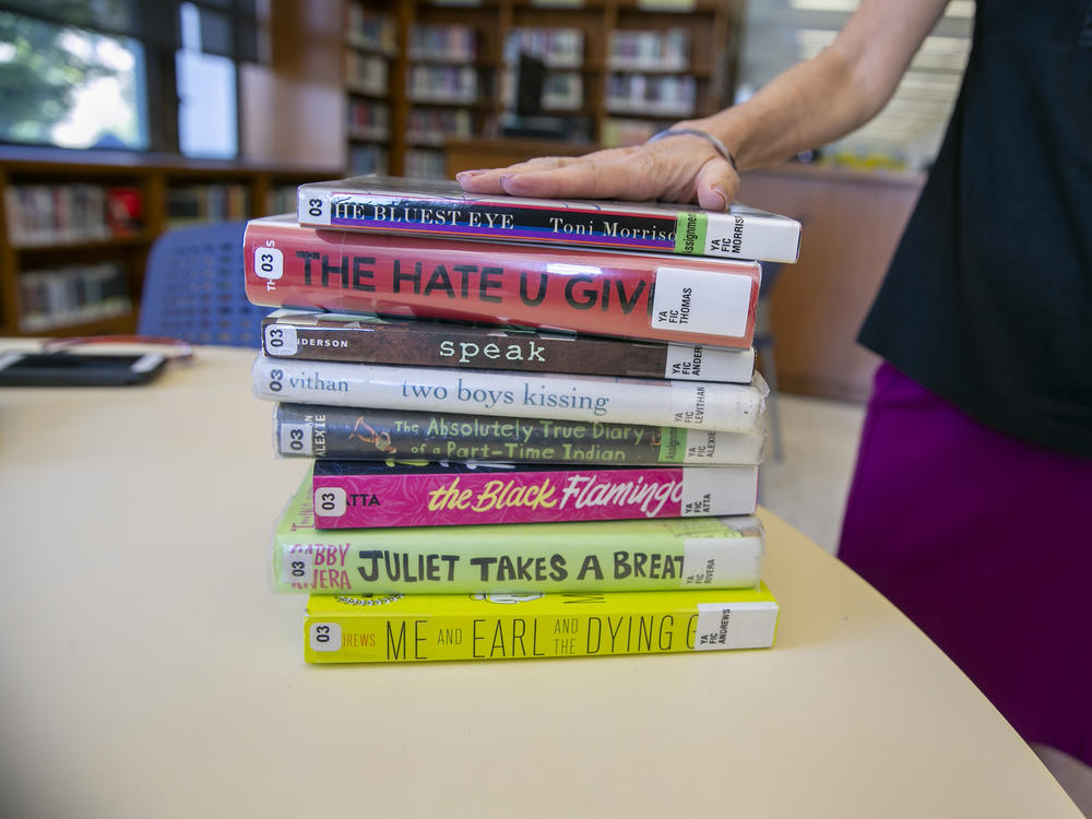 These books have been banned in several public schools and libraries across the U.S. amid a wave of book censorship and restrictions.