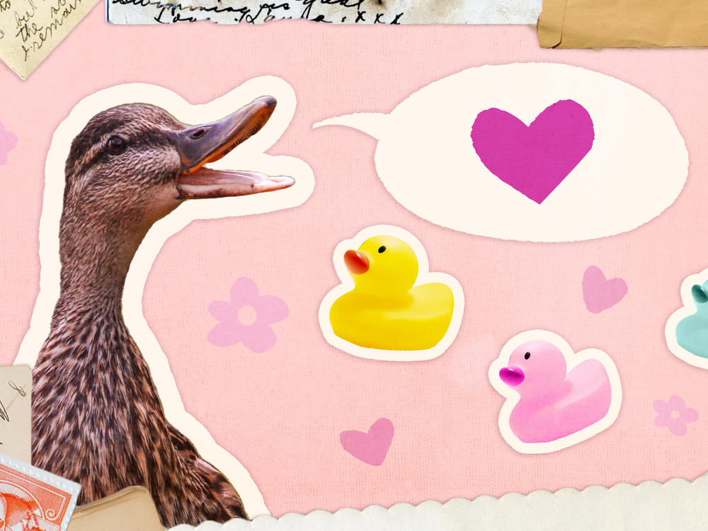 Collage of a mother duck facing three rubber ducks, representing her children. A speech bubble with a heart is coming out of the mother's mouth, symbolizing the advice given by mothers to their children.