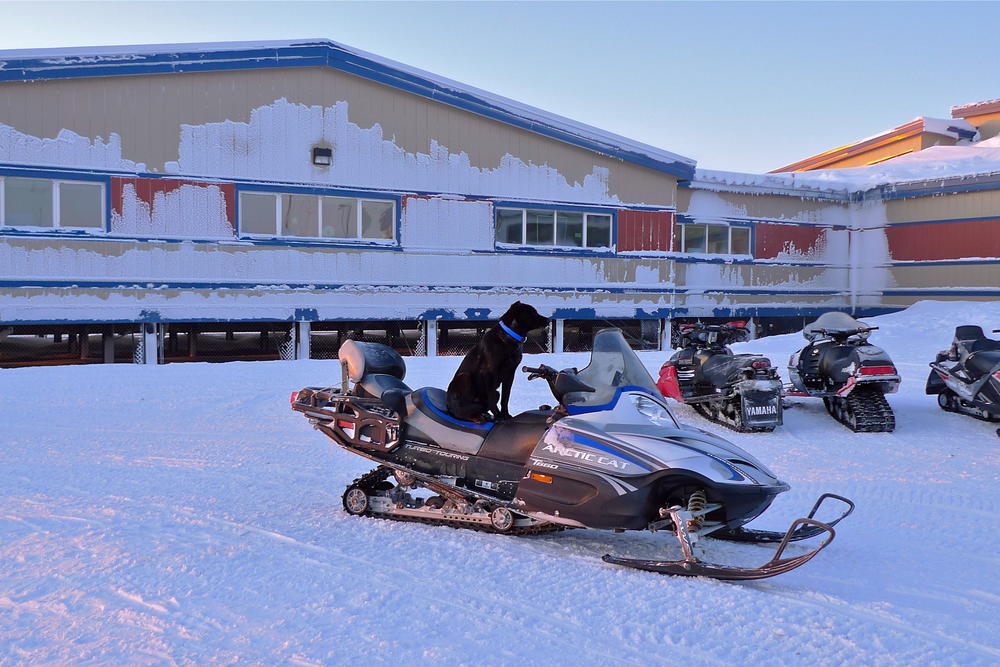 A dog sits on a snowmobile outside Chevak School in Chevak, Alaska. During the long winters, residents rely heavily on ATVs and snowmobiles.