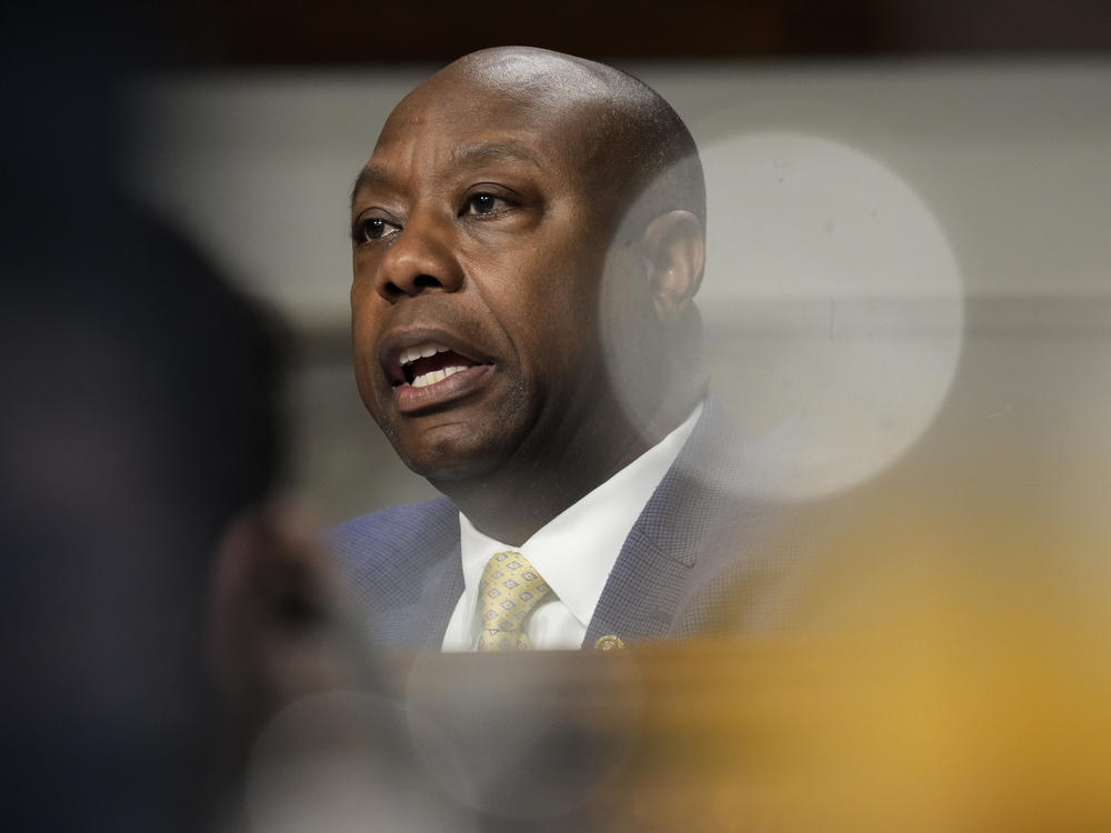 Sen. Tim Scott, R-S.C., questions former executives of failed banks during a Senate Banking Committee hearing on May 16.