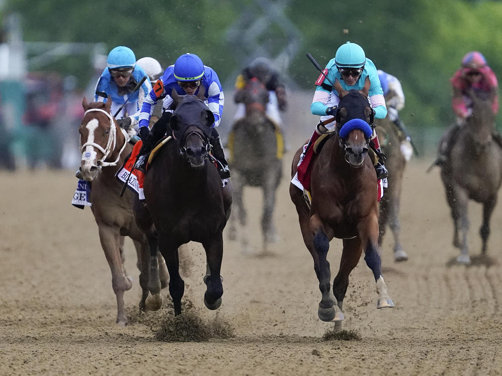 National Treasure, with jockey John Velazquez, front right, edges out Blazing Sevens, with jockey Irad Ortiz Jr., second from left, to win the148th running of the Preakness Stakes horse race at Pimlico Race Course, on Saturday in Baltimore.
