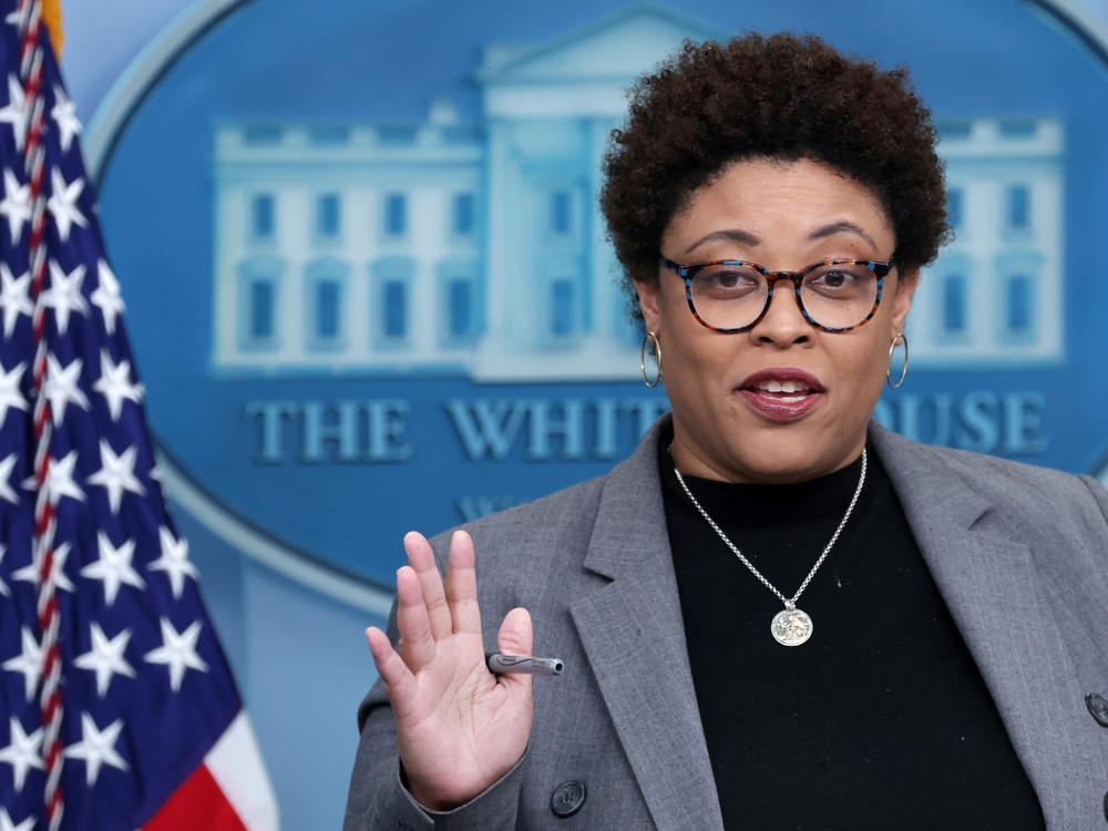 Office of Management and Budget Director Shalanda Young speaks to reporters at the White House on March 10.