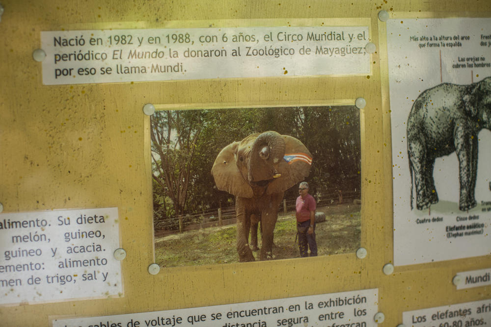 An informative display near Mundi's enclosure.