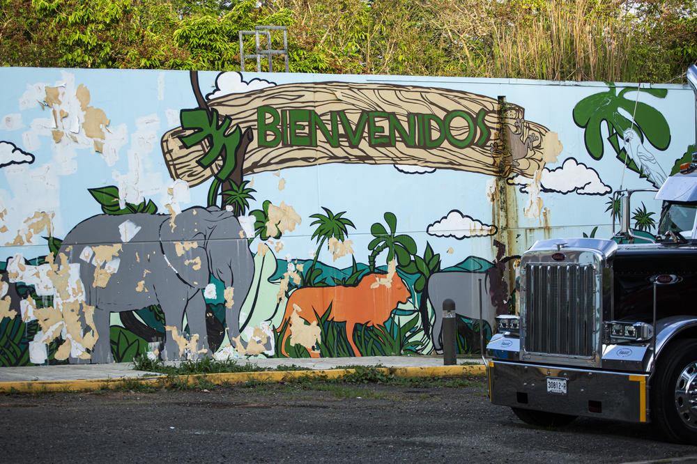 A mural painted by volunteers from the Save the Zoo Foundation, who worked for years to maintain the zoo grounds in the hopes that it would eventually reopen.