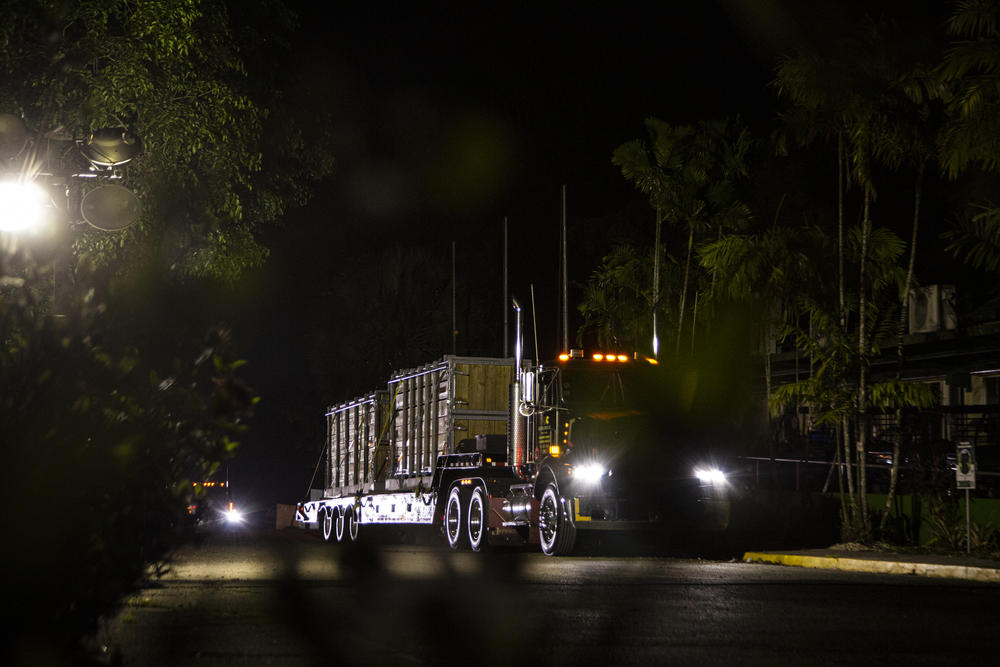 A guarded caravan drove Mundi and the other animals about 20 miles to the airport in the city of Aguadilla.