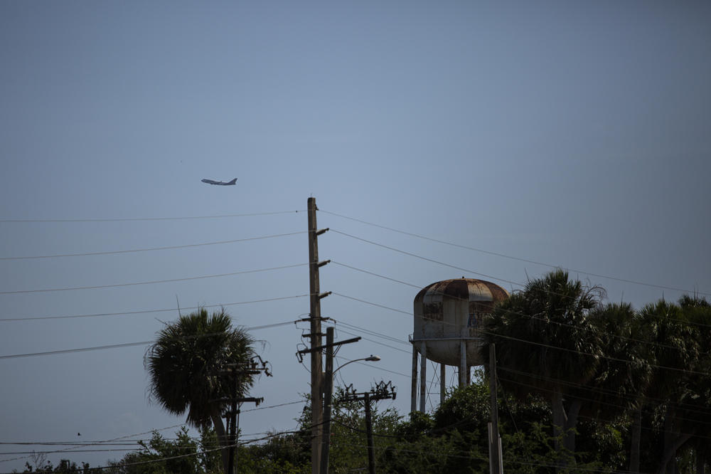 The plane carrying the animals departed the Aguadilla airport shortly after 9 a.m.