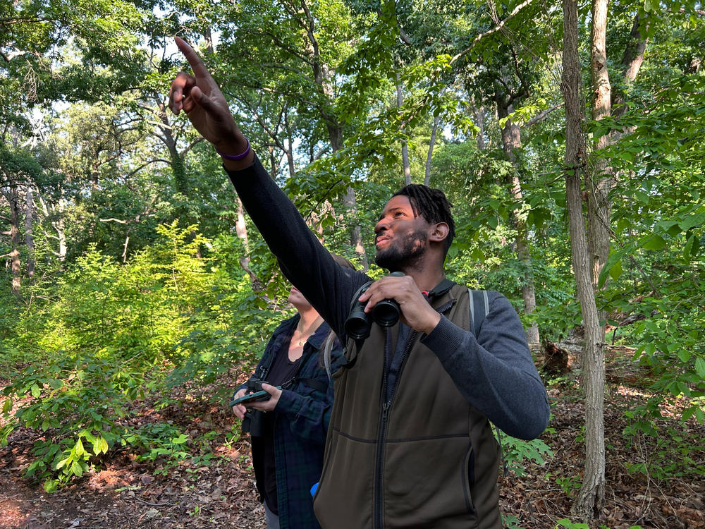 Tykee James spots something moving high in the canopy. 