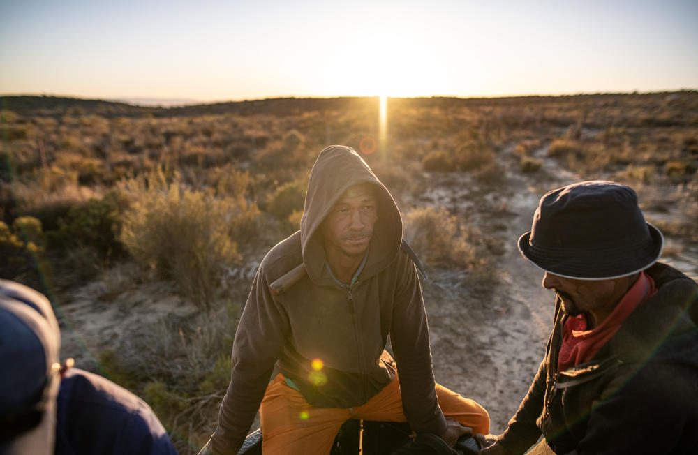 Indigenous Khoisan rooibos farmers travel in the back of a pickup on their way to harvest their fields in South Africa's Cederberg Mountains.