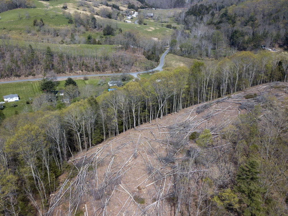 The Mountain Valley Pipeline would stretch 303 miles, from West Virginia to North Carolina. This 2018 file photo shows a section of downed trees on a ridge near homes along the pipeline's route in Lindside, W.Va.