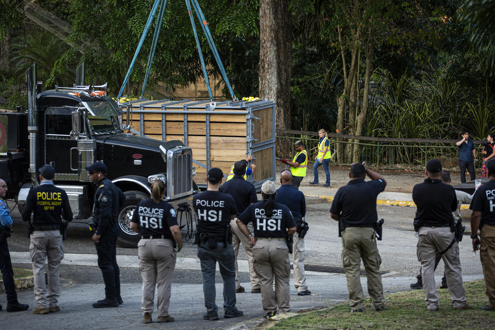 Armed federal agents were on hand for Mundi and the other animals' transfer to the airport after tensions flared in the days leading up to the May 12 flight.