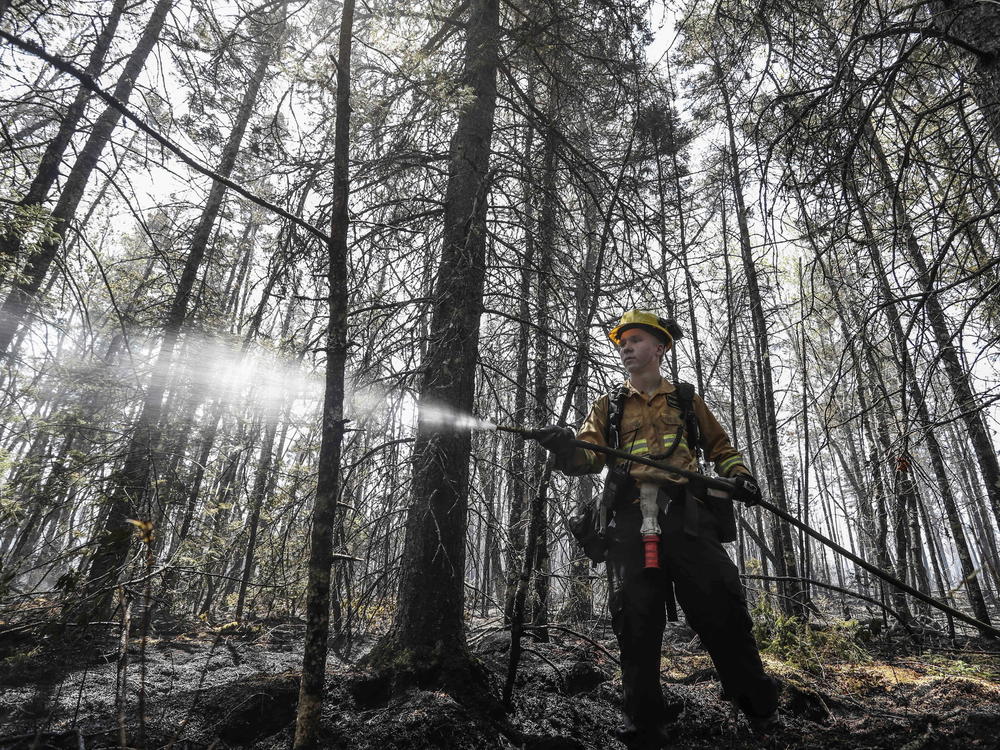Department of Natural Resources and Renewables firefighter Kalen MacMullin of Sydney, Nova Scotia, works on a fire in Shelburne County, N.S. on Thursday. Rain and a rainy forecast for the weekend have fire officials hopeful.