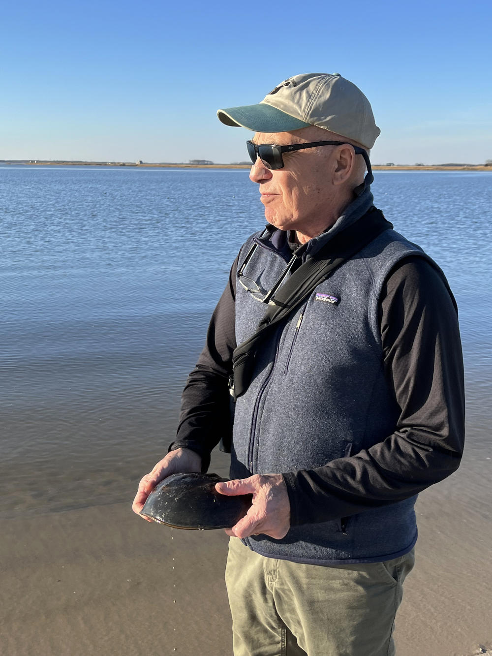 Larry Niles is a wildlife biologist and leader of the nonprofit Horseshoe Crab Recovery Coalition.