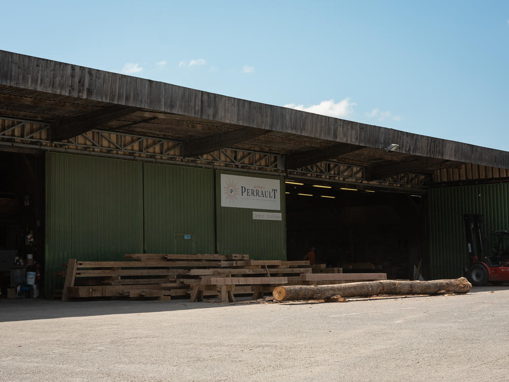 Oak logs lie outside Ateliers Perrault's workshop in Saint-Laurent-de-la-Plaine, France. For the reconstruction of Notre Dame Cathedral, thousands of oak trees were cut down from forests across the country.