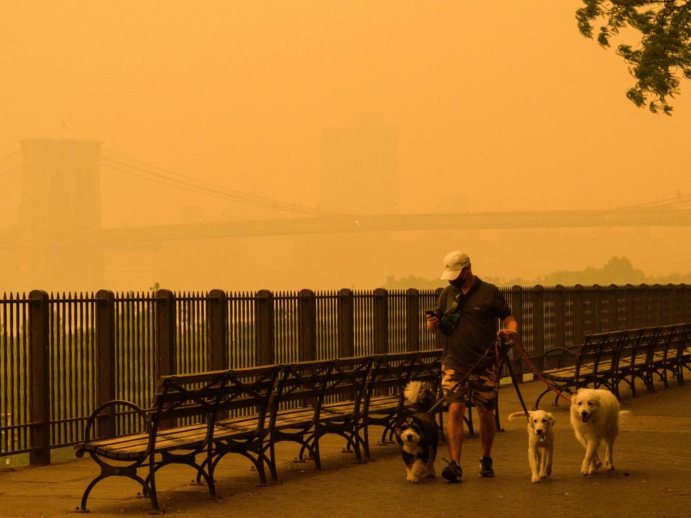 A person walks dogs as smoke from wildfires in Canada cause hazy conditions in New York City on Wednesday.