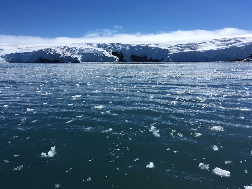Blocks of ice drift on the water off the coast of Collins glacier on King George Island, Antarctica, on Feb. 1, 2018. Climate scientists say the world needs to quickly start addressing the devastating impacts caused by climate change.