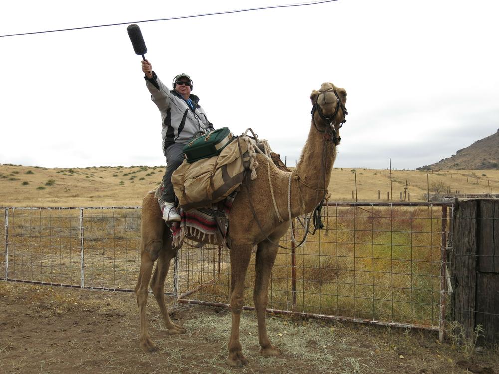 Wade Goodwyn had a knack for finding stories that few others could — like this 2013 piece about camels trekking in the Texas desert.