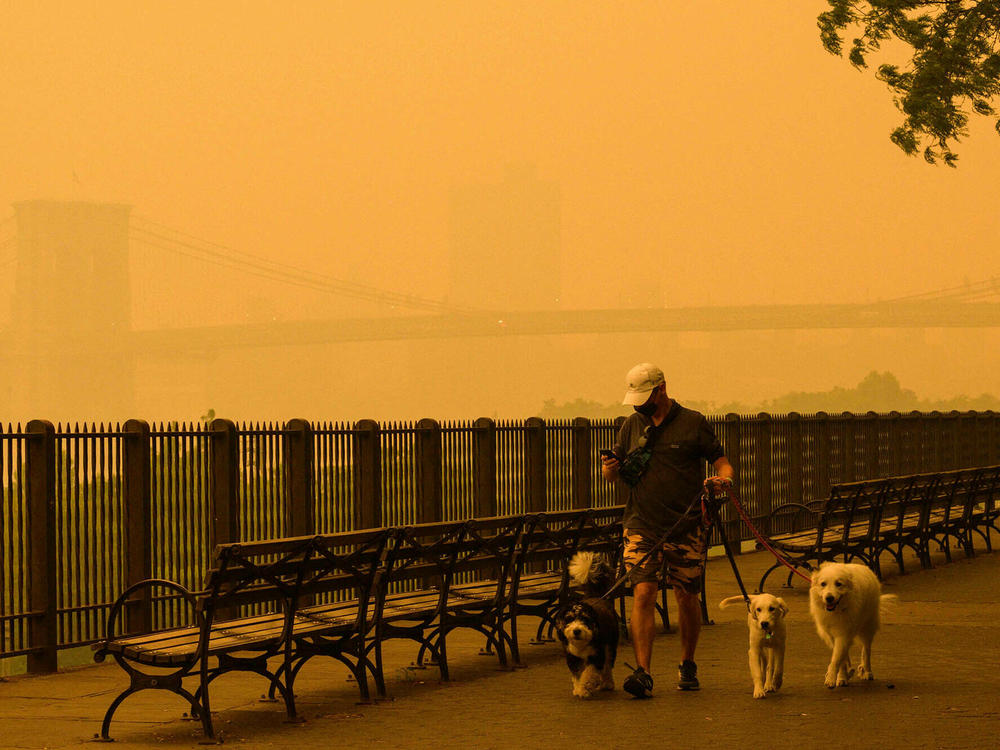 Wildfire smoke filling the New York City skyline was a familiar sight to communities in the Western U.S., who have had to learn to live with the effects of more extreme fires.