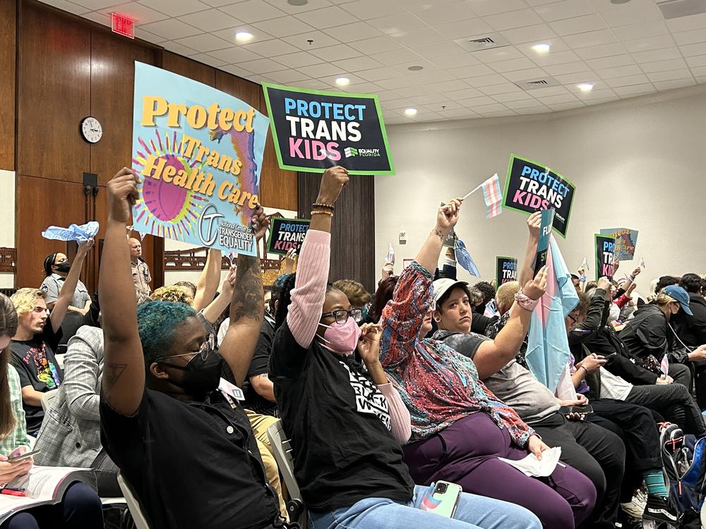 Trans-rights supporters filled a meeting of Florida's medical boards on Feb. 10, 2023 in Tallahassee. The boards voted to approve rules banning gender-affirming care for transgender youth, rules later codified by the state legislature.