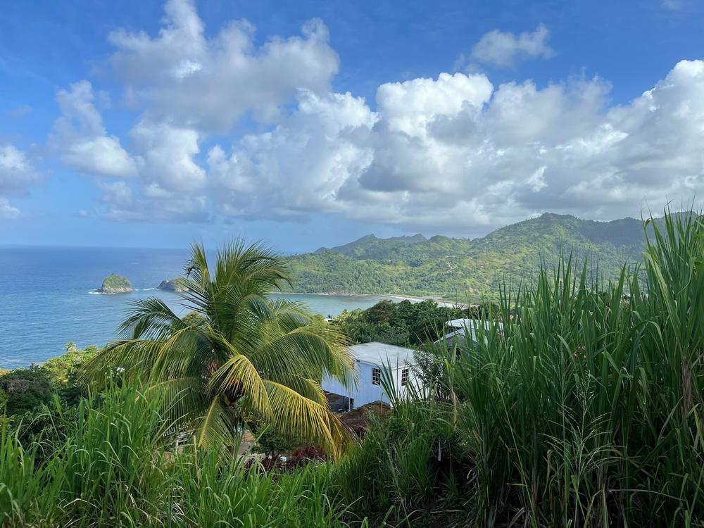Dominica promotes itself as 
