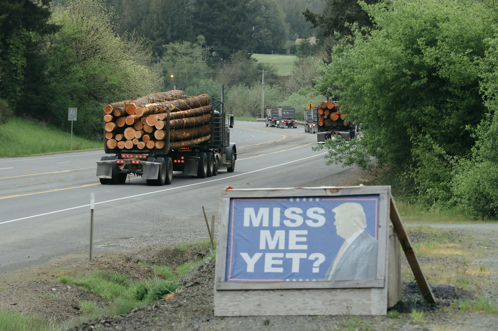 Logging trucks pass a Trump sign reading, 