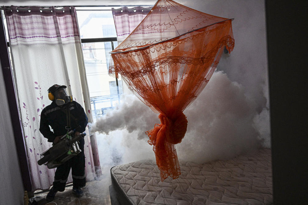 A worker fumigates a house to wipe out the Aedes aegypti mosquito, which spreads dengue fever — one of the measures taken to stem the rising case count.