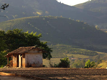 Coffee fruit dries in the late-afternoon sun on a farm in the Brazilian state of Minas Gerais.
