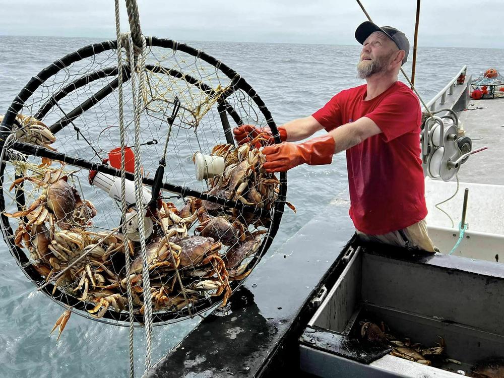 Deckhand Justin Middleton pulls in a crab trap off San Francisco, where new pop-up fishing gear is being piloted.
