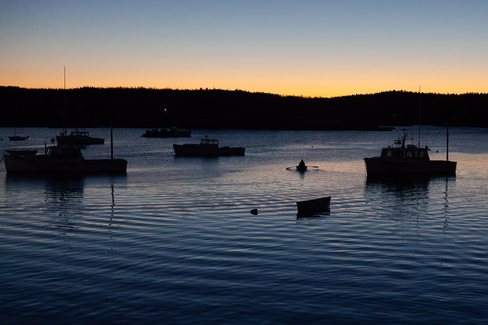 A lobsterman paddles out to his boat in a harbor in Maine.