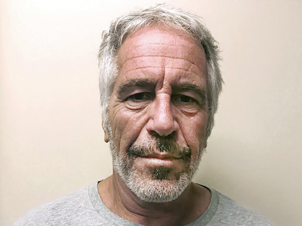 This March 28, 2017, photo provided by the New York State Sex Offender Registry shows Jeffrey Epstein.