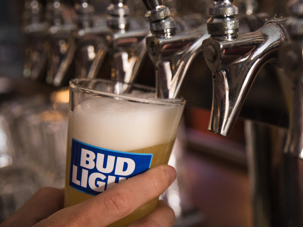 Bud Light sales fell earlier this year after a promotion featuring a transgender social-media influencer led to boycott calls from conservative groups.