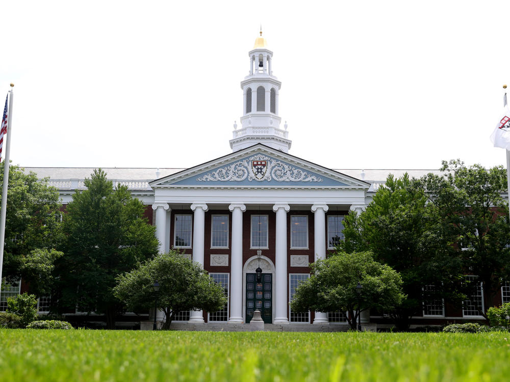 Francesca Gino has been teaching at Harvard Business School for 13 years.