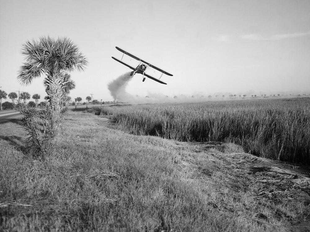 Even though the U.S. said it eliminated malaria in 1951, efforts have continued to keep the disease at bay. Above: A Stearman biplane sprays insecticide during malaria control operations in Savannah, Georgia in 1973.