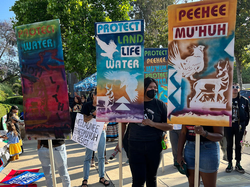 Activists protested what would be the country's largest lithium mine outside federal court in Pasadena, Calif., on Tuesday.