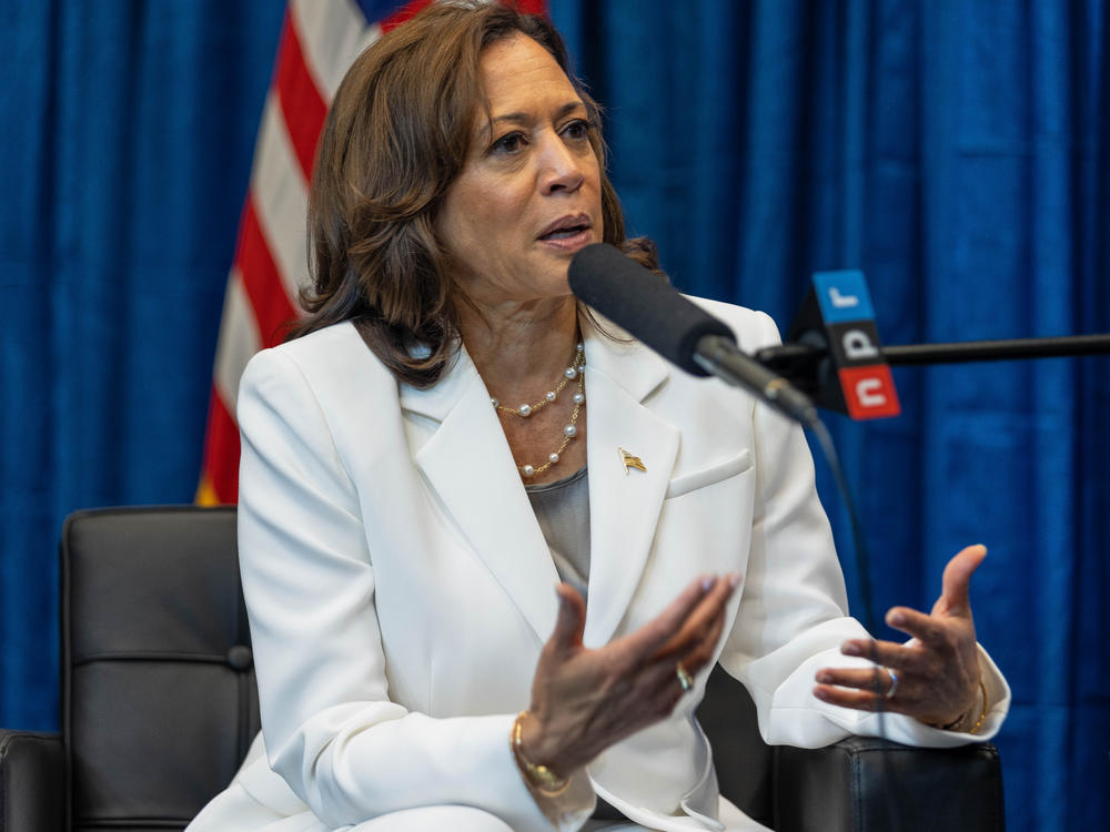 Vice President Harris talked with NPR's Michel Martin about her work, her thoughts on the high court's ruling and the 2024 election.