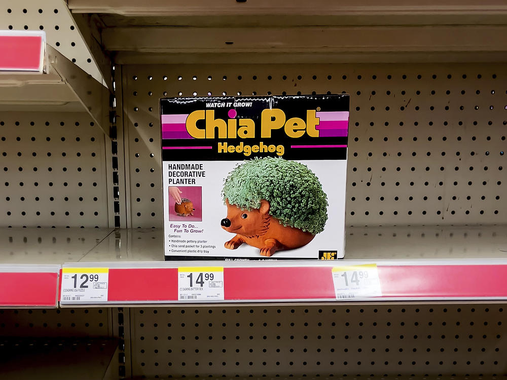 A lone Chia Pet sits on a shelf, a titan of 80's kitsch.