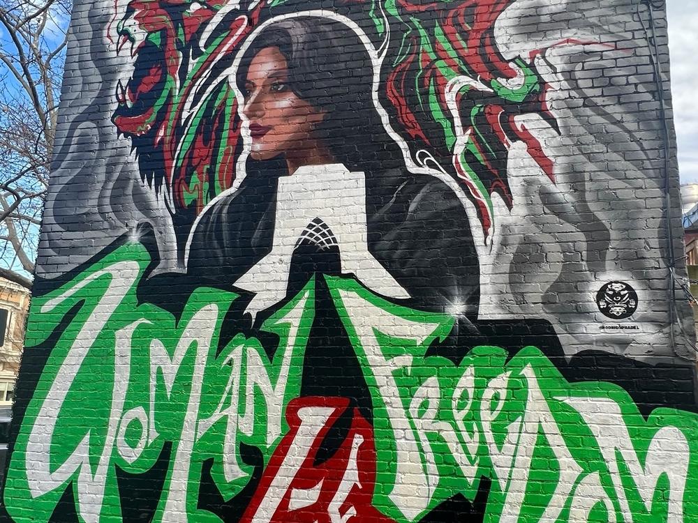 Mahsa Amini peers out from a mural by Rodrigo Pradel that covers an entire building side in a Washington, D.C. alley. Amini's death in police custody in Iran last year led to protests and a revolutionary movement.