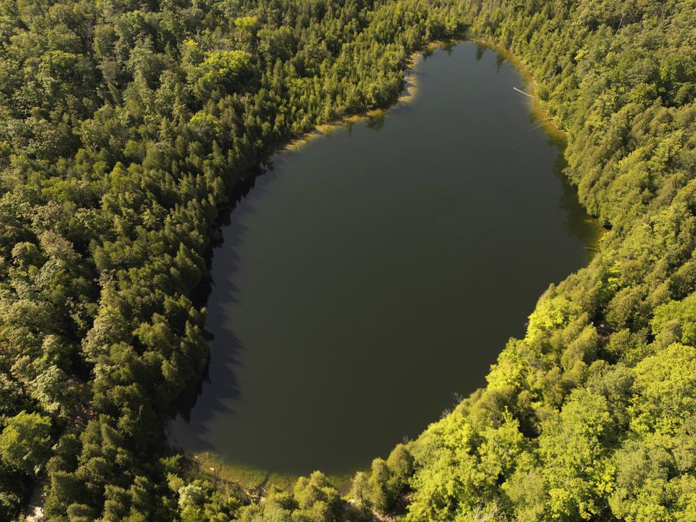 Trees surround Crawford Lake in Milton, Ontario., on Monday, July 10, 2023. A team of scientists is recommending the start of a new geological epoch defined by how humans have impacted the Earth should be marked at the pristine Crawford Lake outside Toronto in Canada.