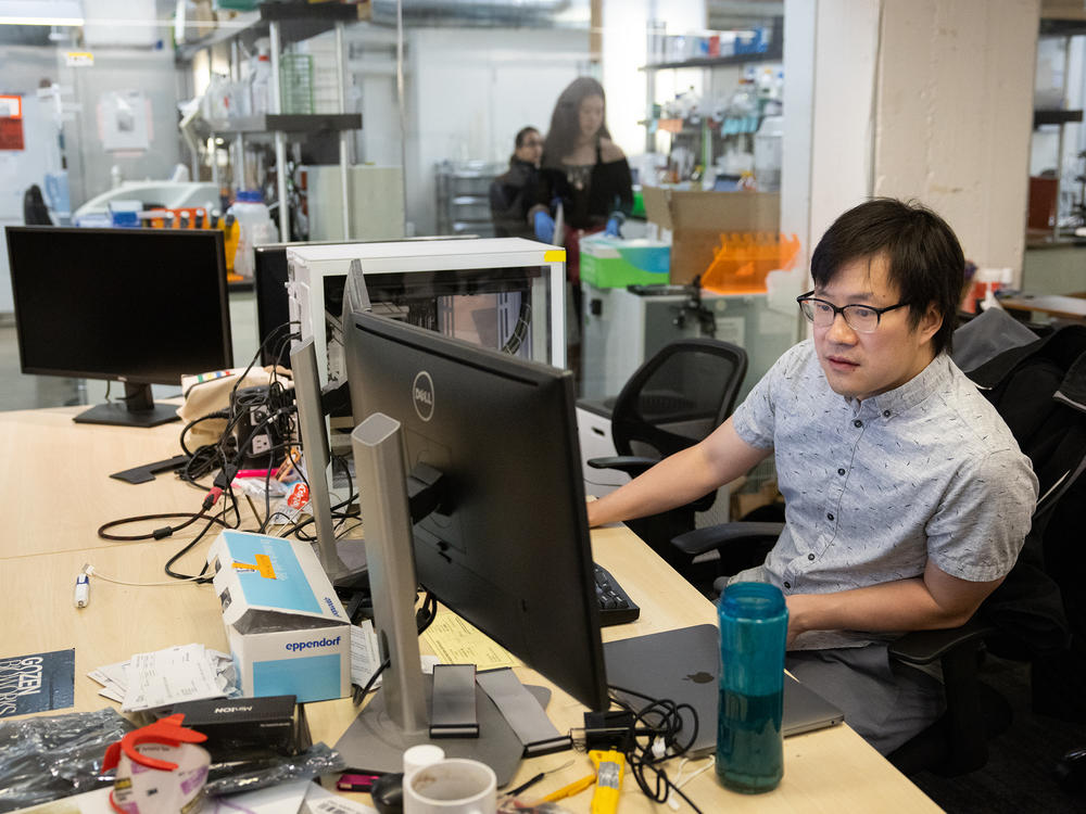 Jeffrey Hsu, CEO of the startup Ivy Natal, works at the company's lab inside the IndieBio incubator space in San Francisco. Ivy Natal is working on creating viable human eggs from skin cells as a fertility treatment.